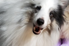 277908343_540708114054398_7167204636909036059_n