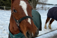 298724399_1515615688960105_1973873218480736903_n