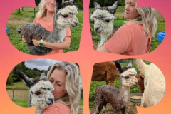 306611595_831748084484891_5431949457420425513_n