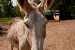 professional-photos-for-website-013